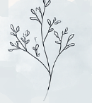  CBT אסי גרינברג